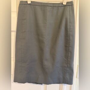 Classic J.Crew Women's Skirt